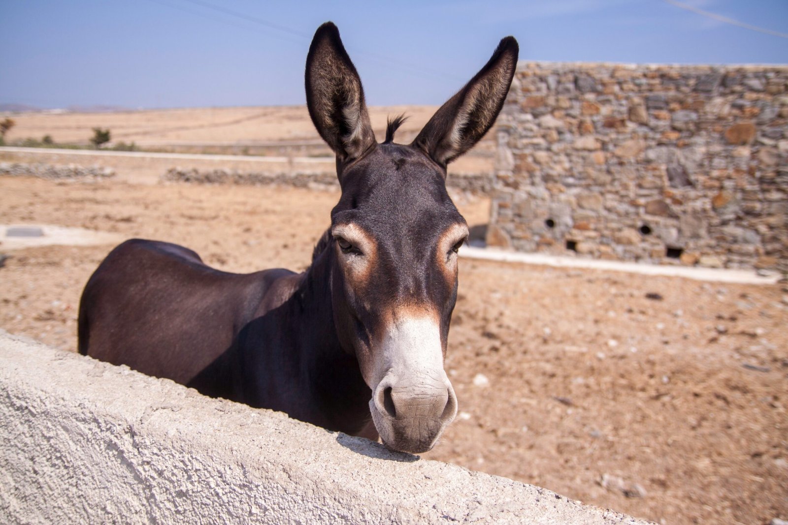 Cucinare senza burro: ricette e benefici